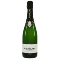 TRENTO DOC BRUT LT.3 12,5° C/CASSETTA FERRARI