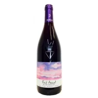 VINO R. PINOT NERO RED ANGEL 2020 CL.75 13° JERMANN