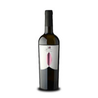 VINO B. PASSERINA TRAVANESCA 2020 CL.37,5 12° SILVESTRONI