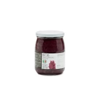 RISTORIS SALSA DI RADICCHIO VASO VETRO GR.510