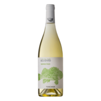 VINO B. VERMENTINO TOSCANA I VINI DEL MARE 2021 CL.75 13° BELVENTO