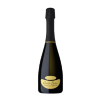 PROSECCO EXTRA DRY DOCG SUPERIORE VALDOBBIADENE MILLESIMATO CL.75 11,5° COL DE’ SALICI