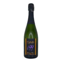 VINO METODO CLASSICO EXTRA BRUT IL 99 LT.1,5 COLLETTO