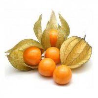 FRUTTA PHYSALIS ALCHECHENGI AL PEZZO