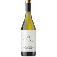 VINO B. PINOT GRIGIO FRIULI ISONZO 2019 CL.75 13,5° CASTELLO DI SPESSA