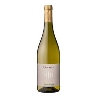 VINO B. PINOT GRIGIO ALTO ADIGE 2020 CL.75 13° TRAMIN