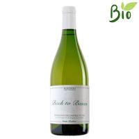 VINO B. VERDICCHIO JESI BIOLOGICO BACK TO BASIC 2020 CL.75 14,5° S.BARBARA